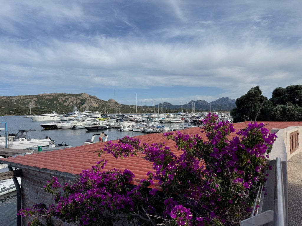 Out and about Cannigione Sardinia