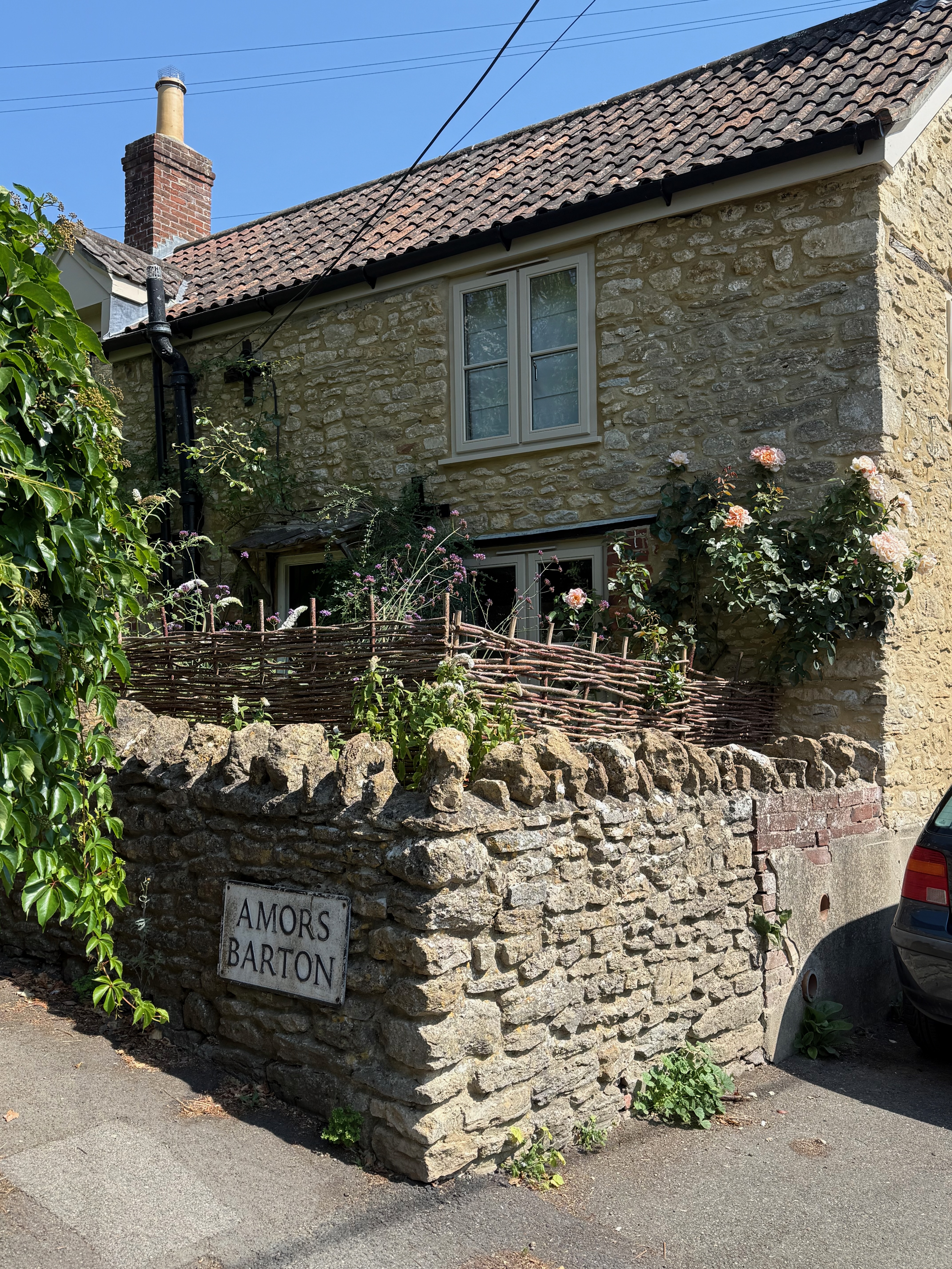 Beautiful Bruton